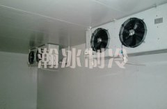建造一個50平方的蘋果冷庫多少錢？