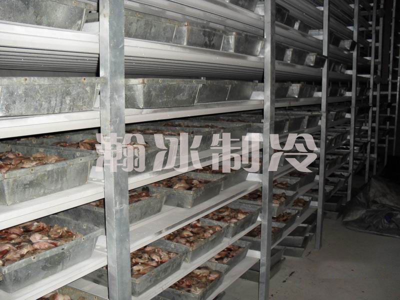 海鮮速凍冷庫(kù)(圖1) 海鮮速凍冷庫(kù)