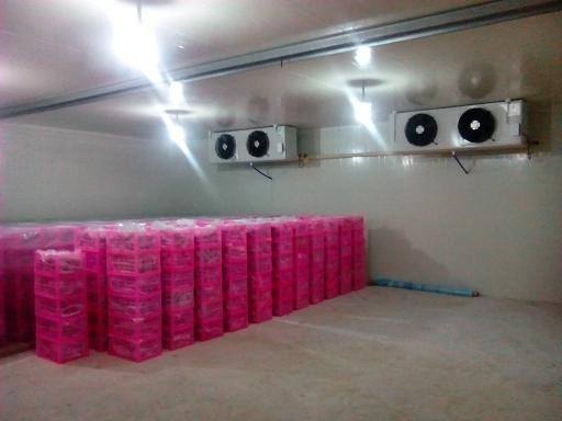 上海建造一個食品保鮮冷庫多少錢