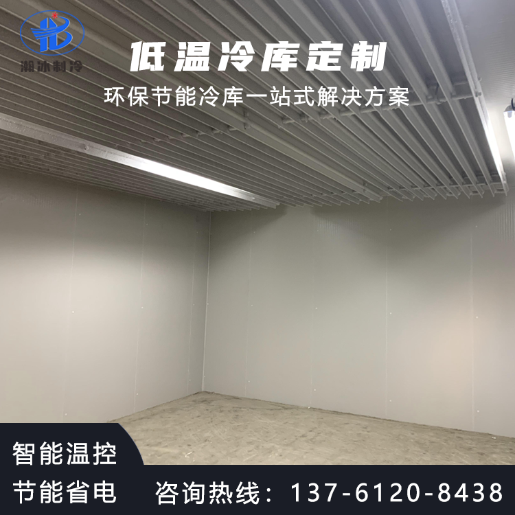 瀚冰低溫冷凍速凍冷庫設(shè)計建造