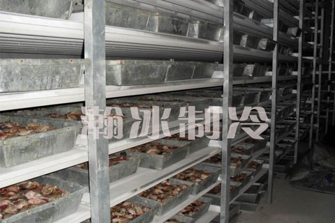 海鮮速凍冷庫